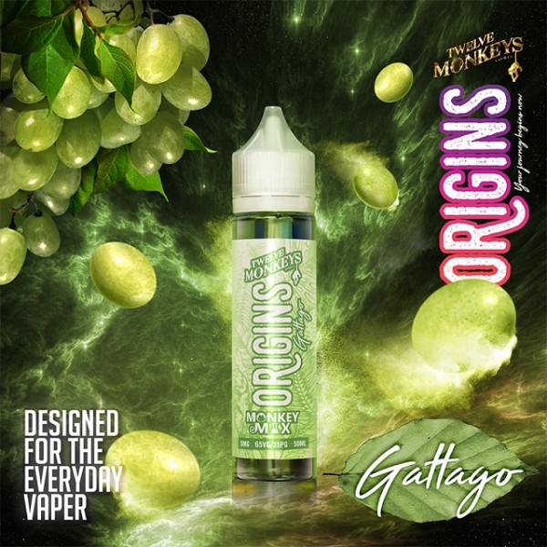 Twelve Monkeys-Origins-Gattago 50ml 0mg
